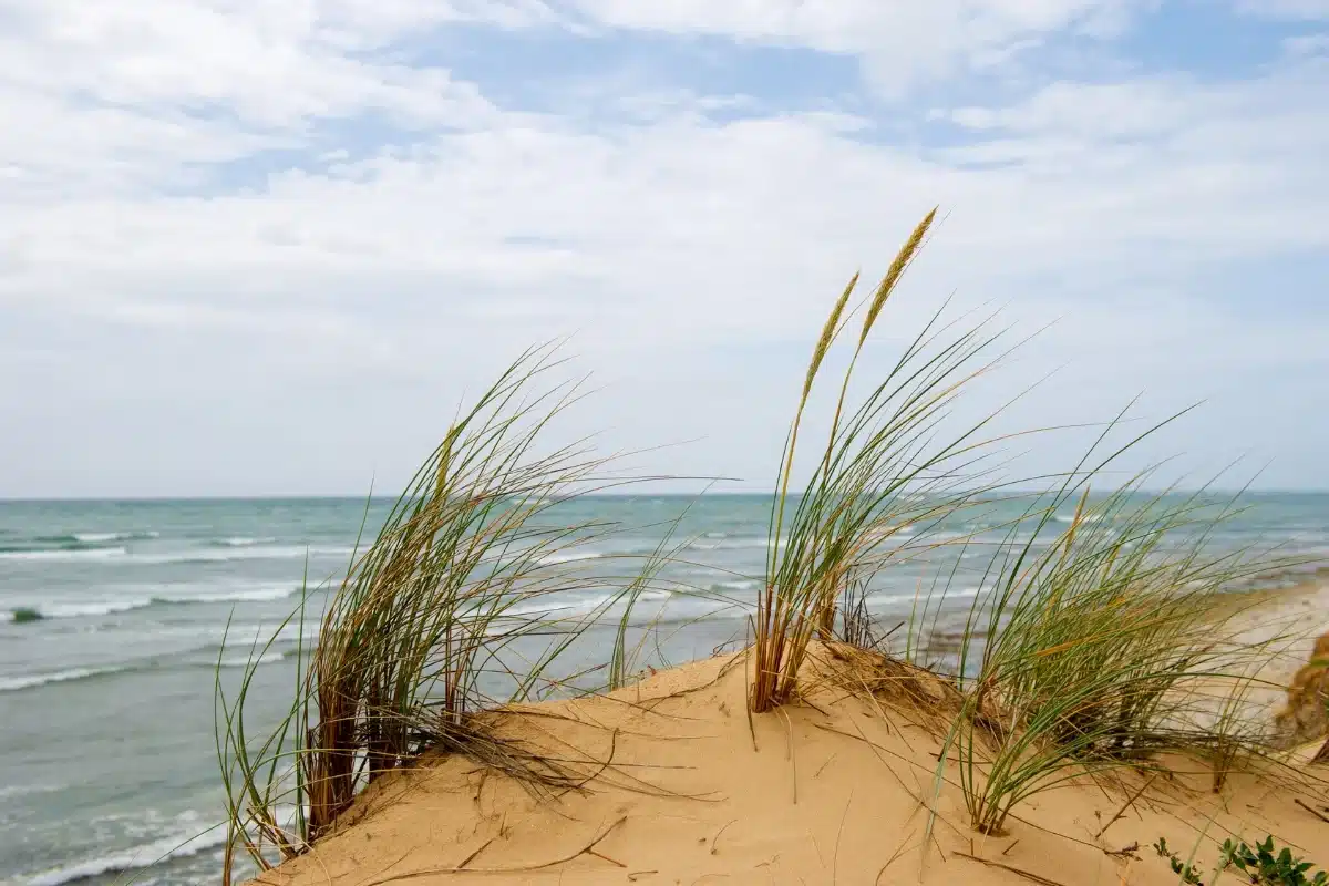 tourisme ile d oleron